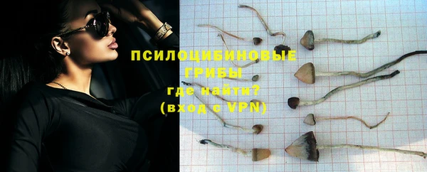 ALPHA PVP Верхнеуральск