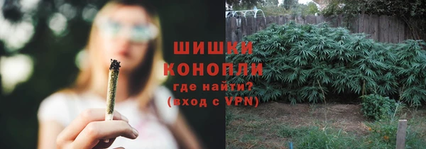 гидра Верхний Тагил