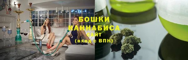 гидра Верхний Тагил