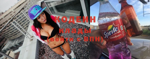 гидра Верхний Тагил